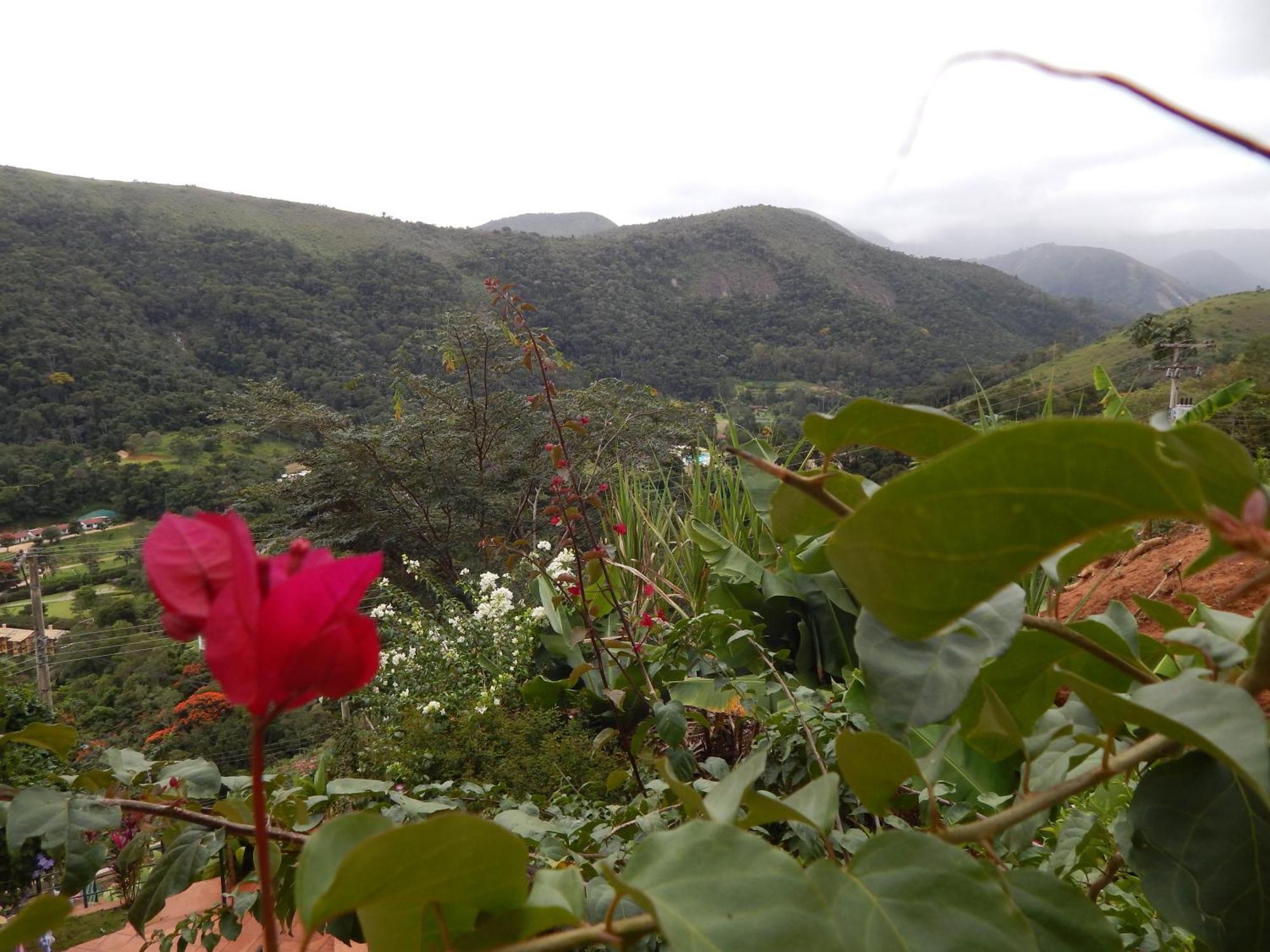 Pousada Quinta Do Alto Itaipava الغرفة الصورة